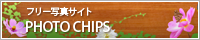 t[ʐ^TCg PHOTO CHIPS